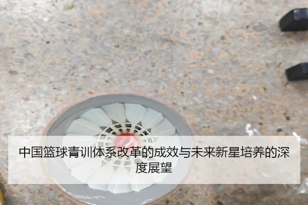 中国篮球青训体系改革的成效与未来新星培养的深度展望（IM SPORTS）